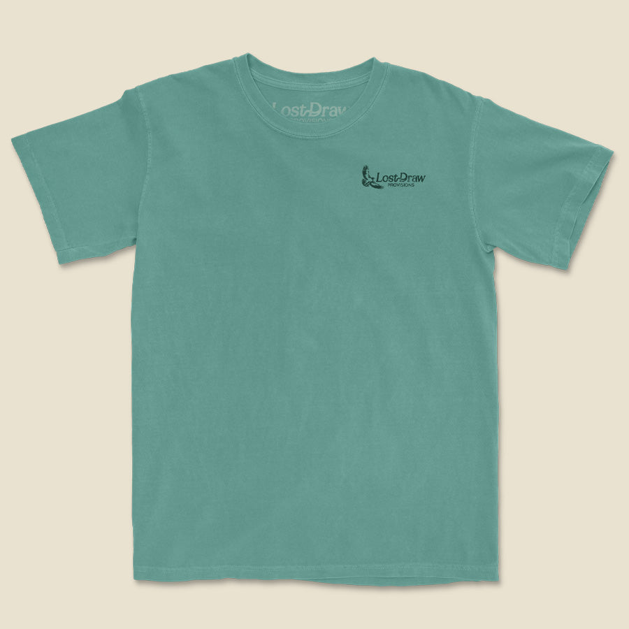 Flay lay front of Soaring hawk Texas graphic printed on light green t-shirt by Lost Draw Provisions